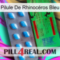 Pilule De Rhinocéros Bleu new03